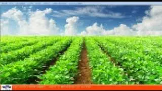 GST Ready Software
