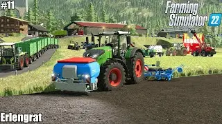 Nice weather for sowing WHEAT, Feeding animals and Selling MILK│Erlengrat│FS 22│Timelapse 11