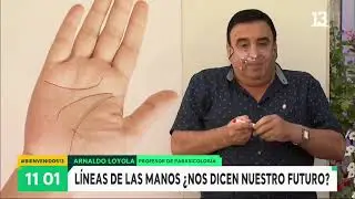 Sepa cómo interpretar las líneas de las manos