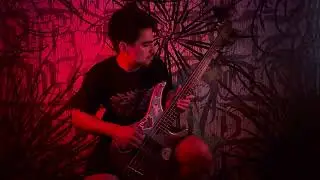 DISFIGURING THE MADNESS - IMPERIO DEL PECADO (OFICIAL GUITAR & BASS PLAYTHROUGH)