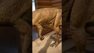 #dinosaur #shorts #subscribe #foryou #animals #funny #fyp #fun #goviral #cool #cute #viral #museum