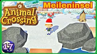 Unterwegs auf einer Meileninsel! | Let's Play Animal Crossing New Horizons S2 Part:17