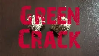 Cigrit Reviews 