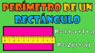 ¿Cómo calcular el perímetro de un rectángulo? | EXPLICACIÓN FÁCIL
