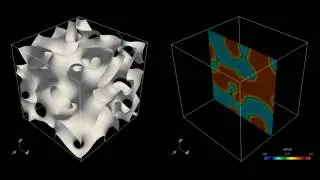 FlowKit Ltd.: 3D Simulation of Phase Segregation