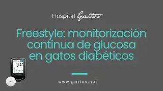 Freestyle:Monitorización continua de glucosa en gatos diabéticos