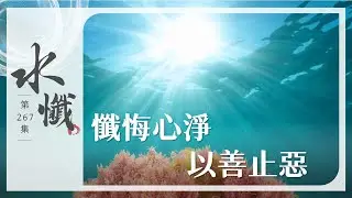 【法譬如水】 懺悔心淨 以善止惡 - 第267集｜水懺｜慈悲三昧水懺｜ 20250815
