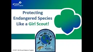 Marine Mammal Protection Act Webinar 2021