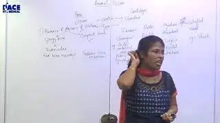 Pace IIT | Animal Tissues