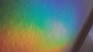 Wall'Bow