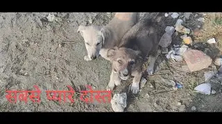 Aaj Mile Sabse Pyare Dost ।। Vlog-58 ।। Mastipage ।। Karan Raj