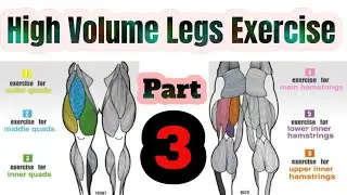 High volume legs workout 12 weeks muscle building day - 18