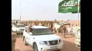 #مزاين 1436 | شرهات | مسيرة منقية / قاسم بن برعوص المطيري