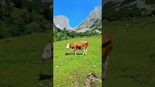 Beautiful Places in Austria that don&rsquo;t feel real 😱 #tirol #exploreaustria #austriatravel