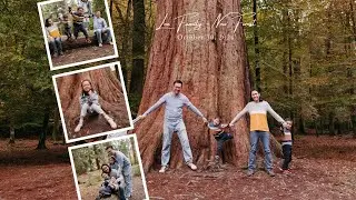 Family Cinematic Film - New Forest
