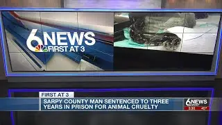 Papillion man sentenced in animal cruelty case