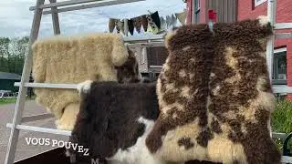 Comment entretenir une peau de mouton