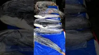 Fish market standards part:107 #shorts