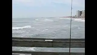 Catching Bluefish At The VA Beach Fishing Pier