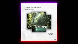 ISMAIL.M, Shayan Pasha - Above The Horizon (Redspace Remix) [Polyptych]