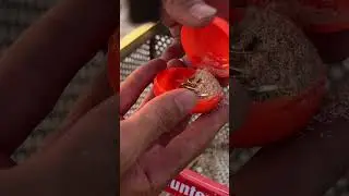 Beach Treasure Hunt &ndash; The 7 Rings of Power