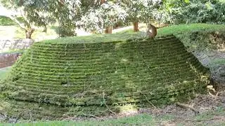 Mihintale, Buddhist heritage of Srilanka.