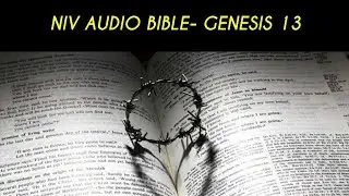 GENESIS 13 NIV AUDIO BIBLE (with text)