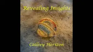 REVEALING INSIGHTS - Jennifer J Johnson Pseudonym Calleey Horizon