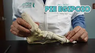 Pie egipcio
