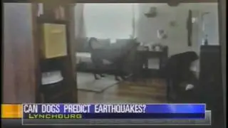 Earthquakes and Pet Prediction