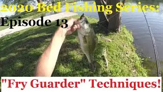 Elmendorf Lake - Put In WORK, Catch Fish - San Antonio Urban Bass Fishing