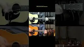 Martin D-28 Comparison / 2017 vs 1964 #martin