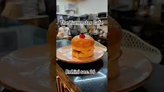 The yummster cafe rohini sector 16 yummy and Delicious food #cafe #indianfood
