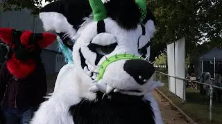 The Furrys of Norcon 2024