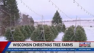 Wisconsin Christmas tree farms