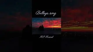 Bulleya (sultan movie songs)