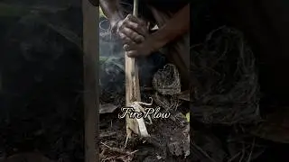 Ancient method of starting a fire in the forest #primitivefirelighting #bushcraft