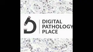 162: How Color Impacts Every Diagnosis |Color Calibration in Digital Pathology w/ Tom Kimpe (Barc...
