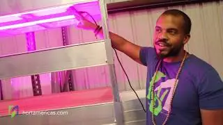 Hort Americas TV &mdash; установка светодиодов GE Current Arize Lynk на GrowRack