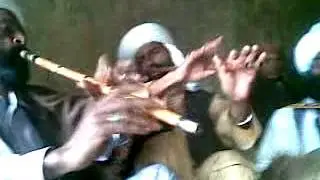 nari peero blochi nar sur