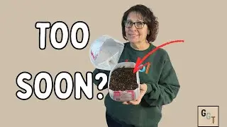When to Start Winter Sowing in Zones 3&ndash;5 - Don't Rush!