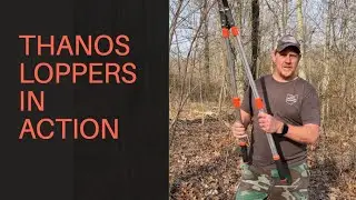 REVIEW:  THANOS A1101 Extendable Anvil Loppers 28