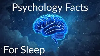 The most relaxing facts about psychology at night to fall asleep to