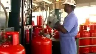 H  H  Sheikh Rashid Bin Saeed Al Maktoum establishing EMGAS in 1974