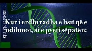 Rrefim - Kujdes ke ndihmoni
