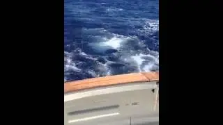 Lahaina fishing