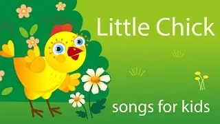 Little chick- FAMILY FARM SHOW songs for kids