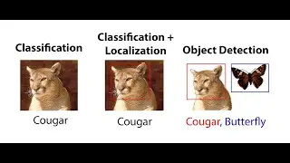 ازاى تعمل Image Classification with Auto ML Vision Step by Step 🔥🔥