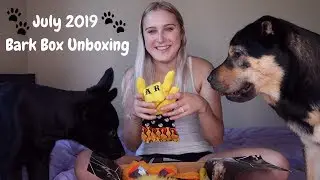 July 2019 Bark Box Unboxing