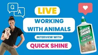 Pets on Q Webinar: How To Work A Successful Campaign